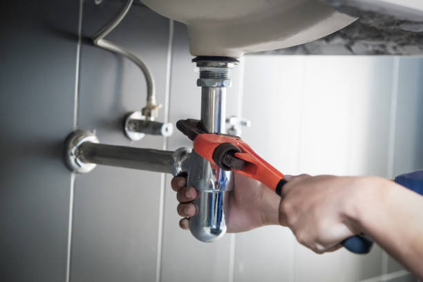 Best Commercial Plumbing Services  in Naco, AZ